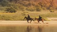 Image Mr. Sunshine (2018)